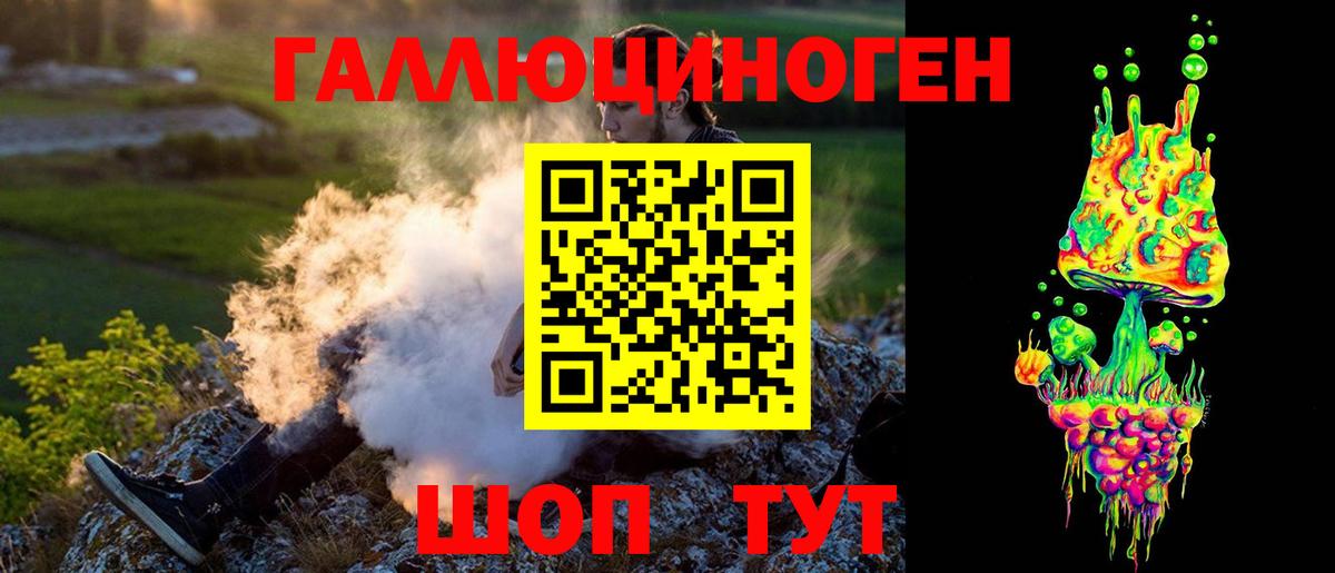 Красный Сулин  Псилоцибиновые грибы GOLDEN TEACHER  купить закладку  Галлюциногенные грибы GOLDEN TEACHER  Вход с VPN 