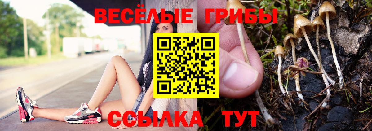 Галлюциногенные грибы Magic Shrooms Красный Сулин